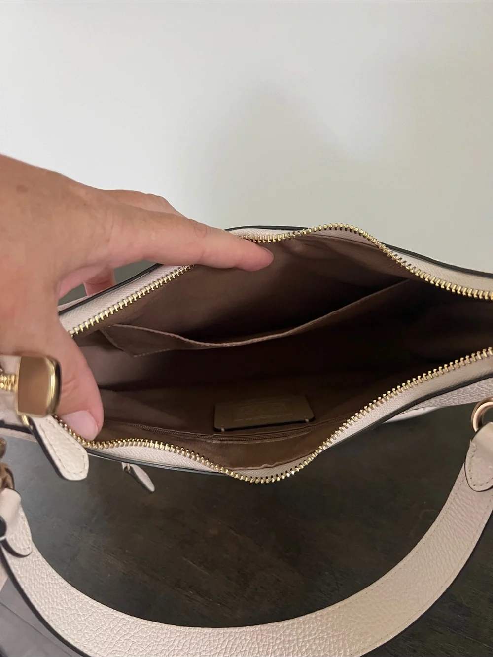 Teri Hobo Bag